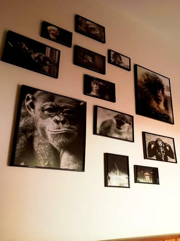 The Mellow Monkey Hostel Zadar