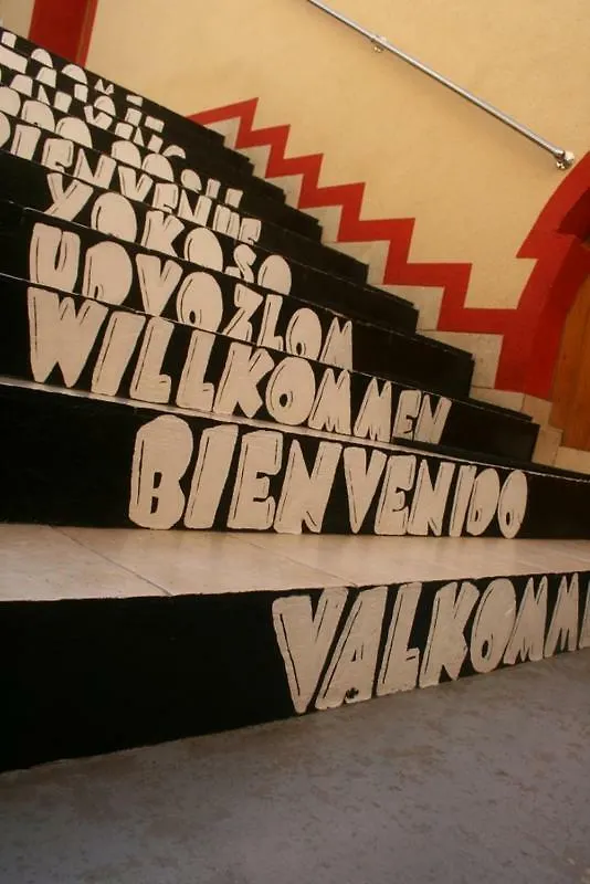The Mellow Monkey Hostel Zadar